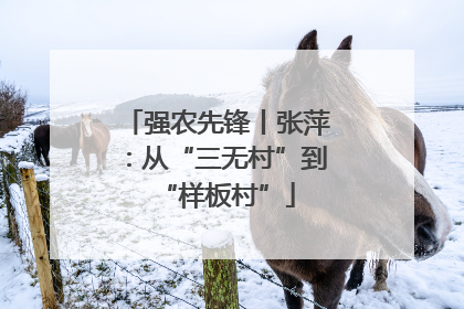 强农先锋丨张萍：从“三无村”到“样板村”